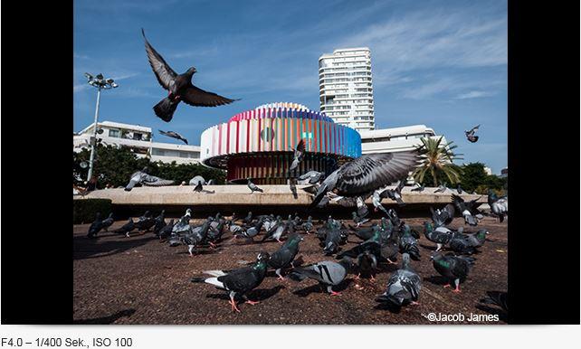 Immagine prodotto Panasonic Lumix FZ82 (3,1 - 13,3 mm, 18.10 Mpx, 1/2,3'')