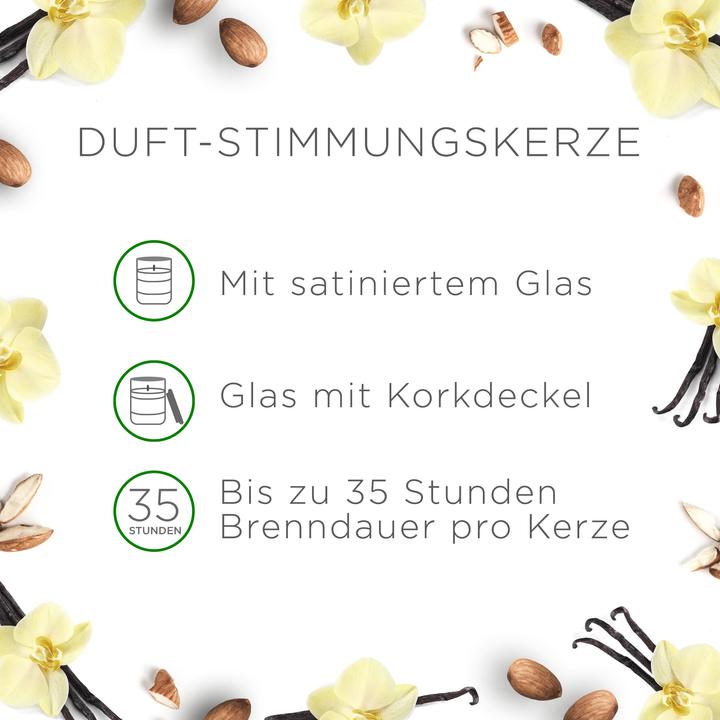 Produktbild Air Wick Vanilleblüte Feine (105 g)