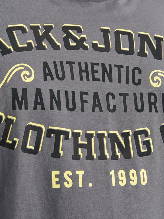 Actual product image Jack & Jones Jjelogo Tee Ss O-Neck 2 Col Aw24 S Pls (4XL)
