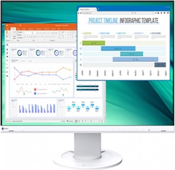 Eizo EV2460 SWISS EDITION-WHITE 23.8IN (1920 x 1080 Pixel, 23.80")