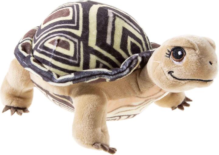 Actual product image Heunec School of magical animals Henrietta the tortoise (12.80 cm)