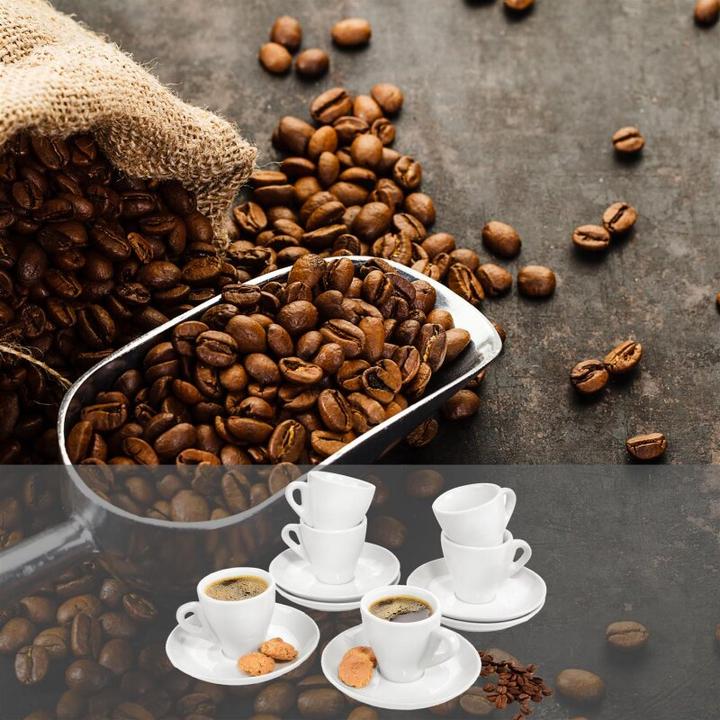 Image du produit Sänger Geschirr Set de tasses à espresso Florence avec soucoupes (12 pièce(s))