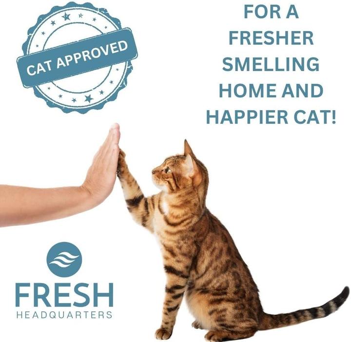 Produktbild Litter-Robot 4 Katzentoilette