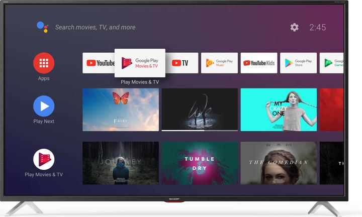 Actual product image Sharp 65BL5EA (65", LCD, 4K, 2019)