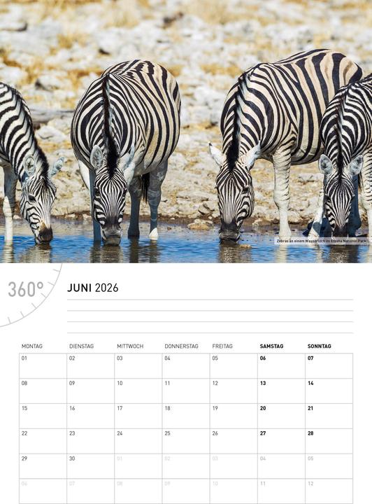 Actual product image NamibiaBrochure calendar2026 (German)
