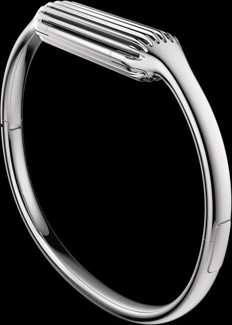 Image du produit Fitbit Flex 2 Bracelet (Acier inoxydable)