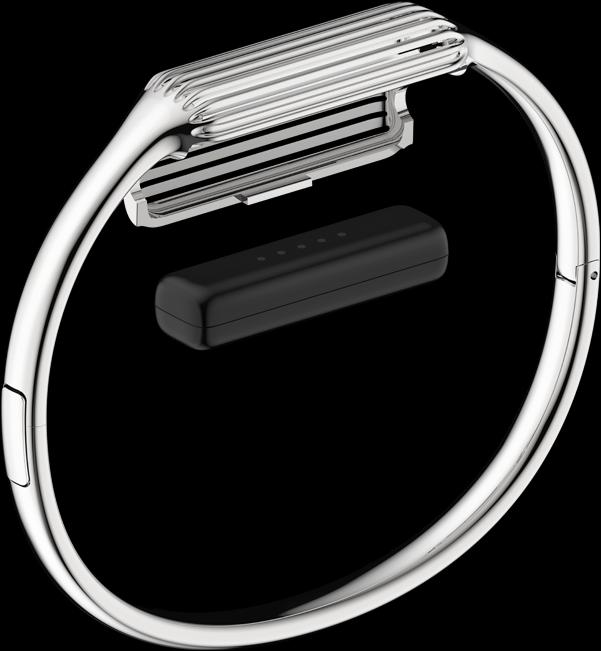 Image du produit Fitbit Flex 2 Bracelet (Acier inoxydable)