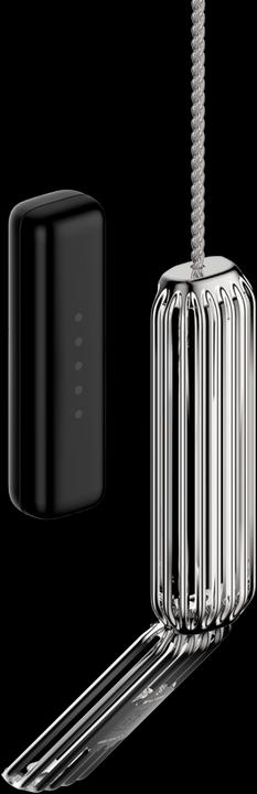 Immagine prodotto Fitbit Collana Flex 2 con ciondolo