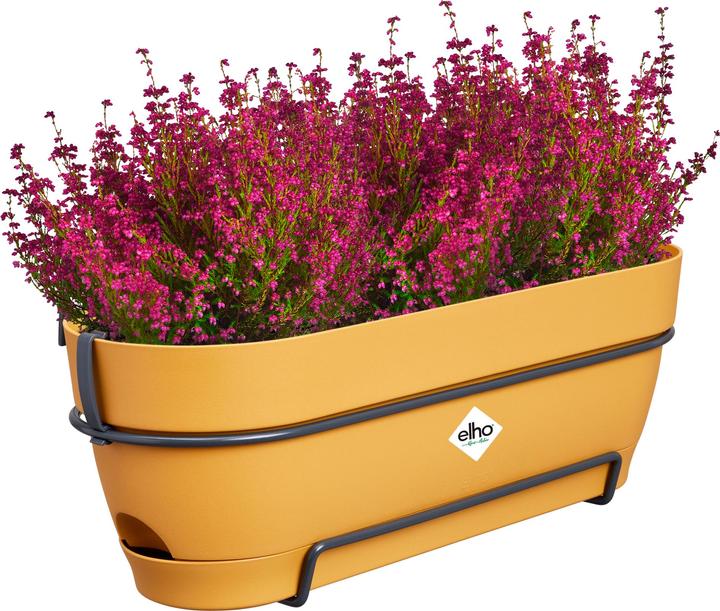 Produktbild Elho Vibia Campana Balkonkasten Allin1 (26 cm)