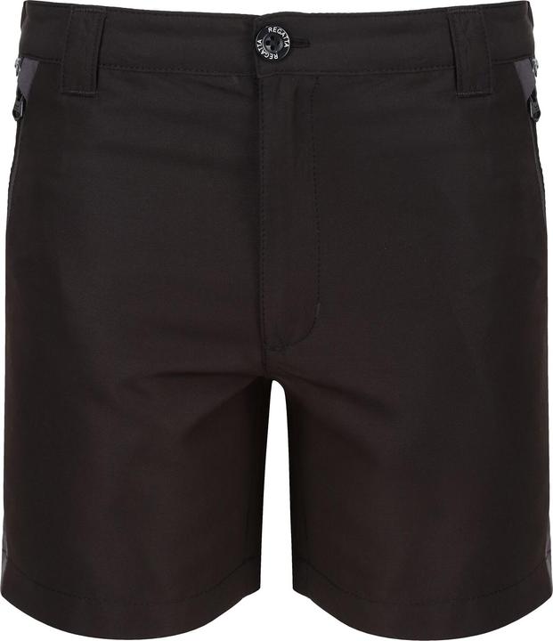 Regatta Sorcer Mountain III Shorts