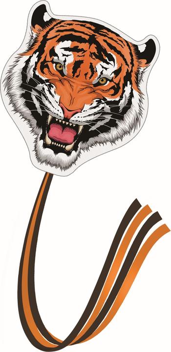 Actual product image Günther Flugspiele Single Line Kite Tiger