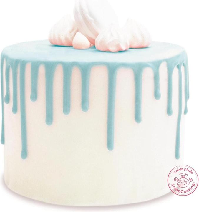 Actual product image ScrapCooking Chocolate icing (1 x)