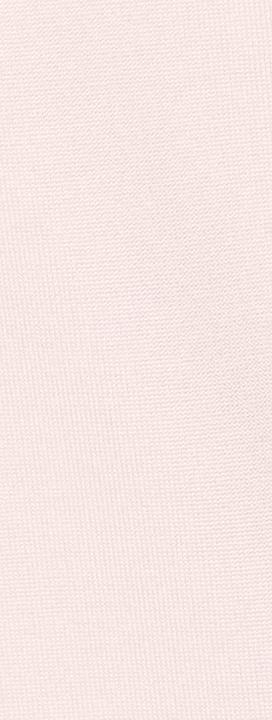 Actual product image Hanro Top (L)