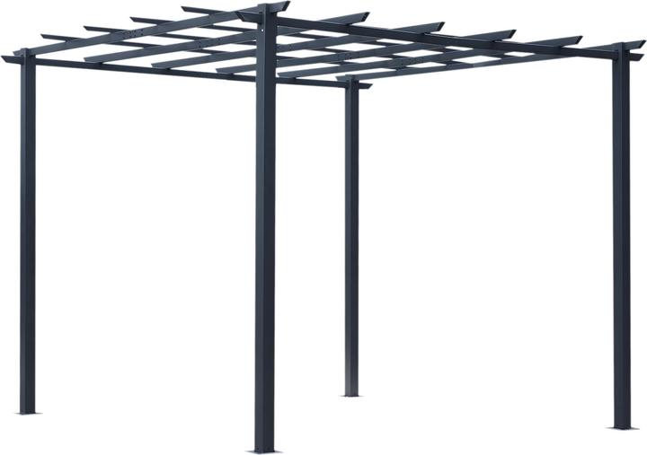 Image du produit Outsunny Rosenpavillon (300 cm, 300 cm)