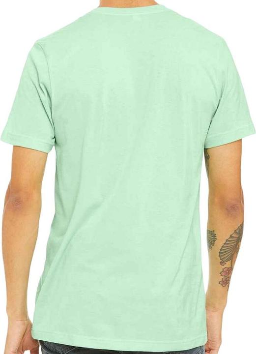 Actual product image Bella Canvas Adults Unisex Tri-Blend T-Shirt (XL)