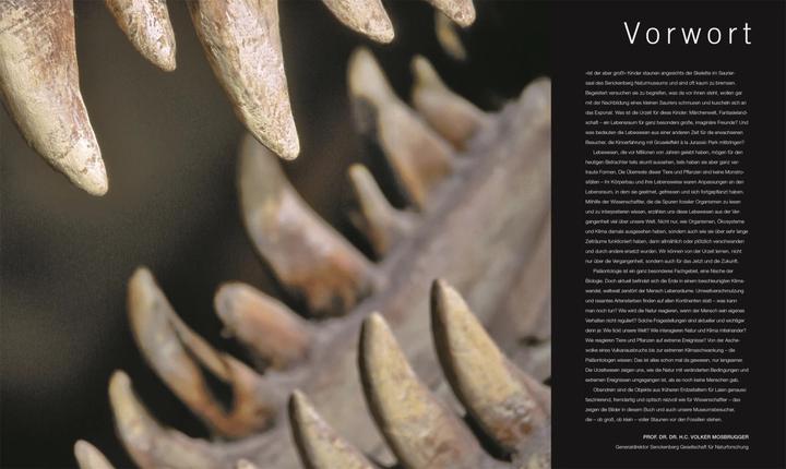 Image du produit Dinosaurier und andere Lebewesen der Urzeit (Allemand, Christopherua, Thomas, Jennifer/Duffin, BarryA/Clack, 2020)