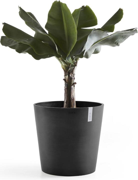 Immagine prodotto Ecopots Amsterdam + serbatoio dell'acqua (50 cm)