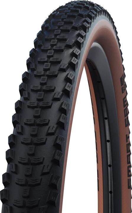 Schwalbe Smart Sam