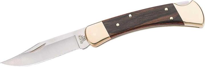 Buck Folding Hunter 110