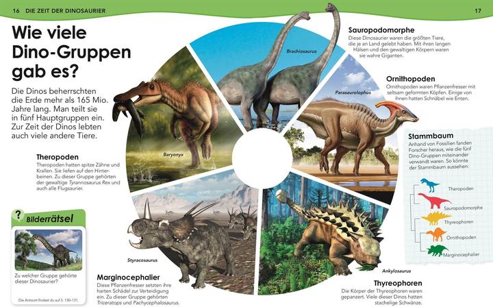 Image du produit Weshalb? Deshalb! Dinos (Allemand, Nicholas St Fleur, 2020)