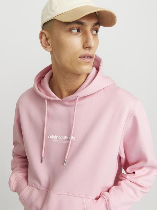 Actual product image Jack & Jones Jorvesterbro Sweat Hood Noos (XL)