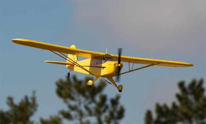 Actual product image Super Cub (Multi motor)