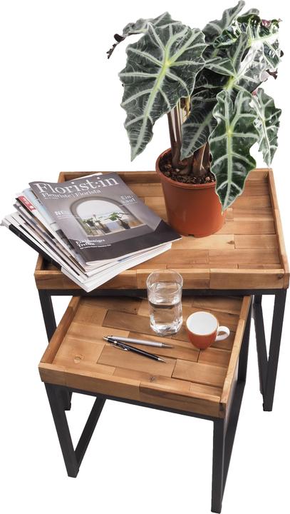 Immagine prodotto Migros Ostschweiz Alocasia Polly (50 cm)