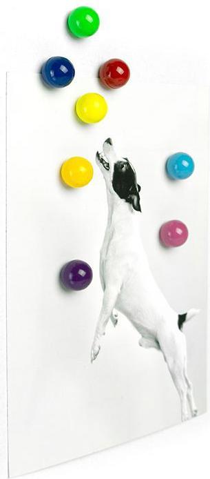 Actual product image Trendform Rainball (8 x)