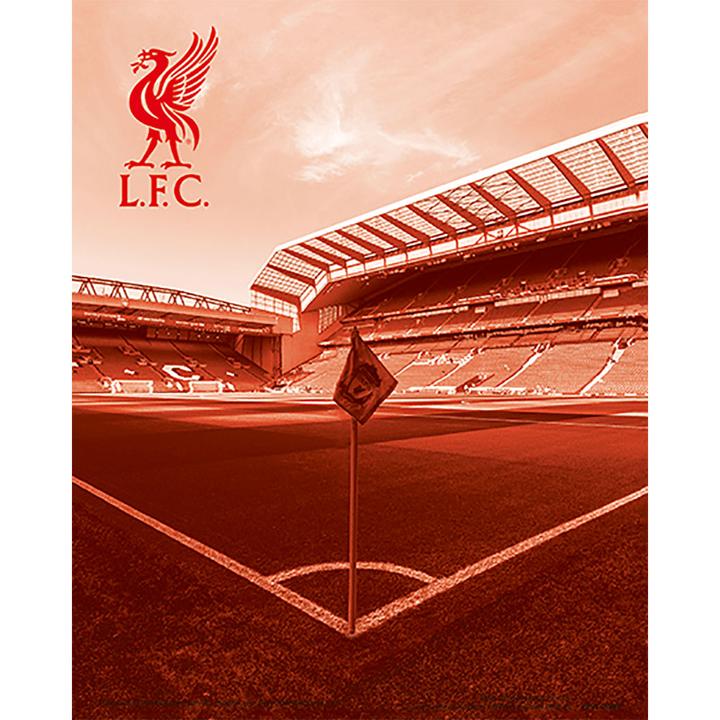 Actual product image Score Draw Printed Anfield Stadium 3D