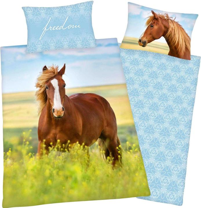 Produktbild Herding Pferd
