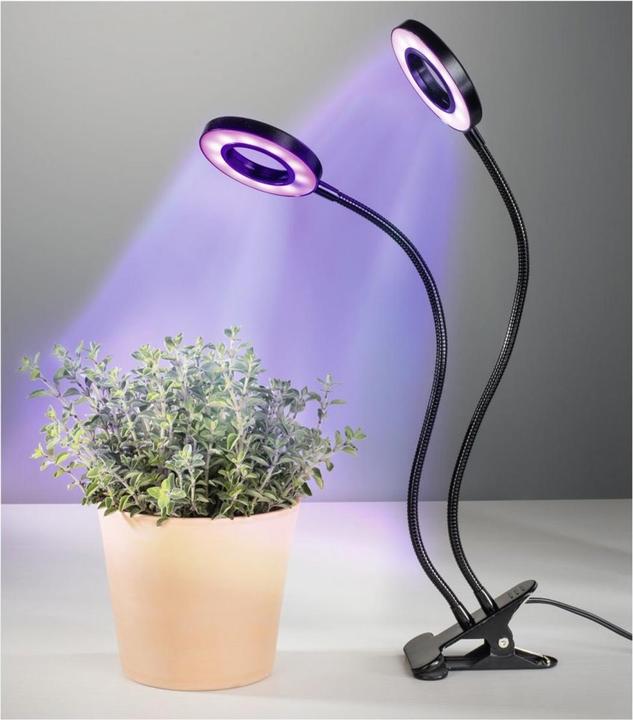 Actual product image Xavax Circle (LED, 5 V)