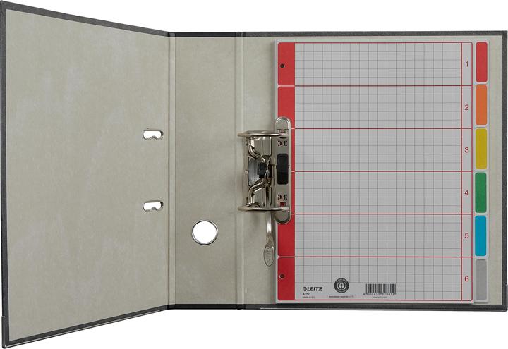 Actual product image Leitz Register cardboard