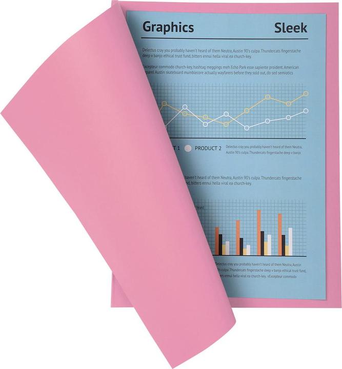 Actual product image Exacompta BAHIA 220 - File cover A4 (A4, 100 x)