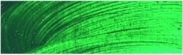 Actual product image Rembrandt OIL PAINT T9 616 (Chrome oxide green fiery, 40 ml)