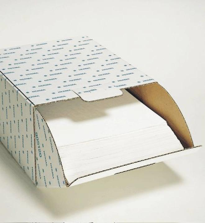 Image du produit HERMA Housses pour photos (23 x 31 cm, 250 x)
