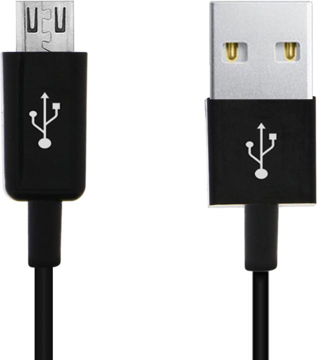 Actual product image Avizar Micro USB / USB charging cable (0.30 m)