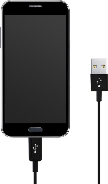 Actual product image Avizar Micro USB / USB charging cable (0.30 m)