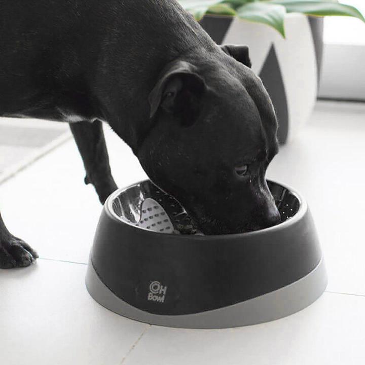 Produktbild LickiMat LICKI MAT - Dog Bowl Oral Hygiene Bowl M Black Ø22X7,2Cm - (645.5210)