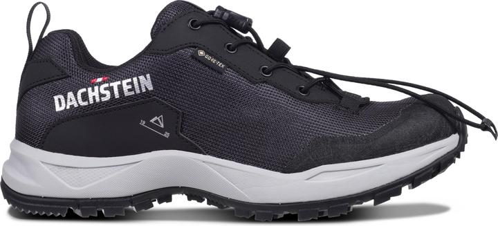 Dachstein Women's Delta Ascent GTX