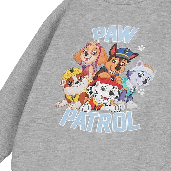 Actual product image Paw Patrol Childrens/Kids Logo Sweatshirt (98)