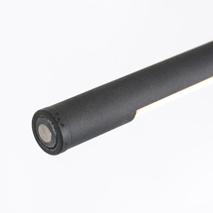 Image du produit Steinhauer Serpent (600 lm)
