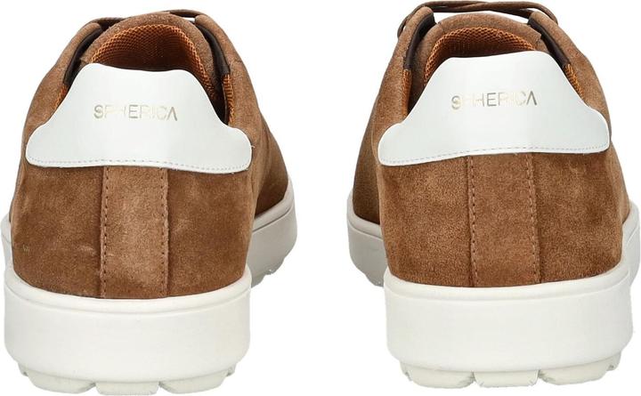 Actual product image Geox Sneaker (44)