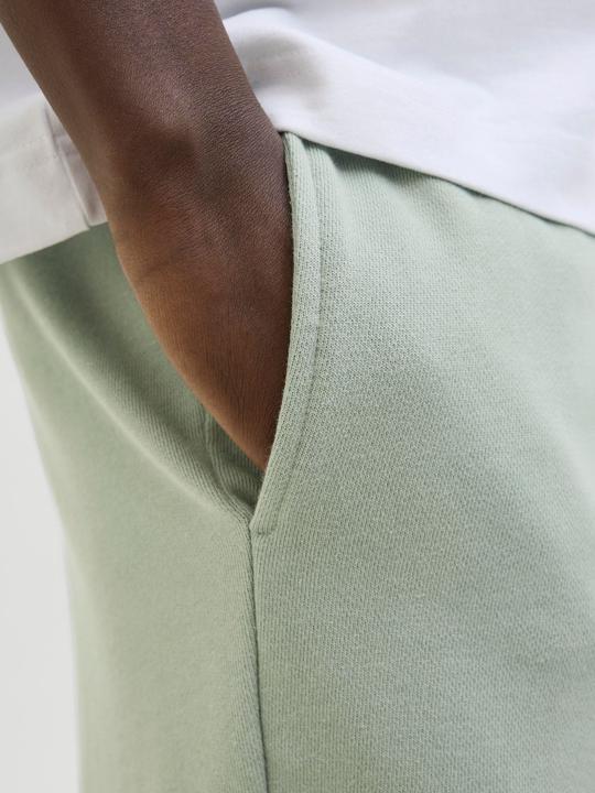Immagine prodotto Jack & Jones Regular Fit Shorts Shorts (M)