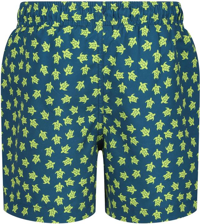 Produktbild Regatta Skander III Kurze Hose Jungen (170, 176)