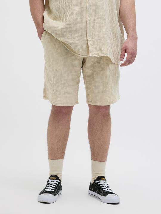 Image du produit Jack & Jones Plus Size Loose Fit Relaxed Fit Shorts Relaxed Fit Shorts (42)