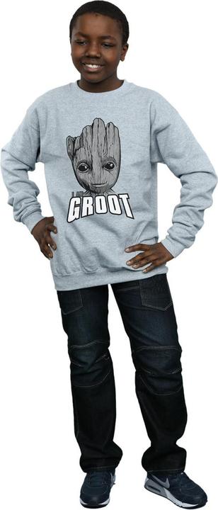 Produktbild Guardians Of The Galaxy Groot Face Sweatshirt Jungen (116)