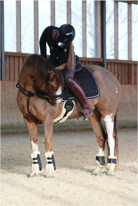 Produktbild Kentucky Horsewear Kurzgurt aus künstl. Schaffell