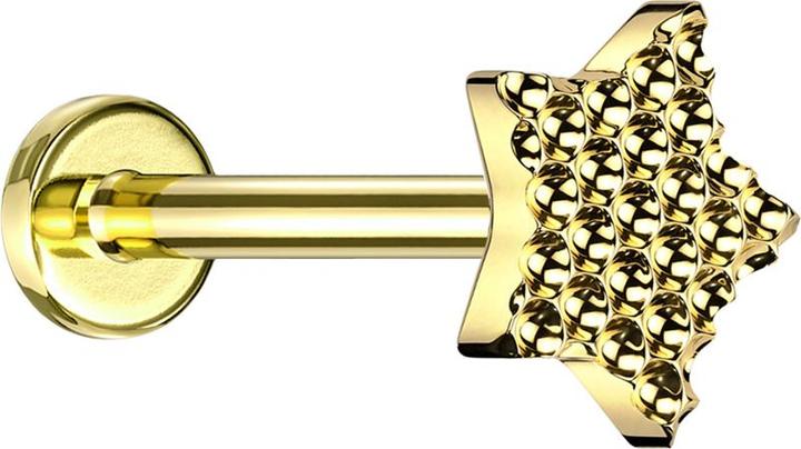 Star Piercing Micro Labret Innengewinde vergoldet gepunkteter Diamantschliff Stern vergoldet (ohne Messing, Titan G23)