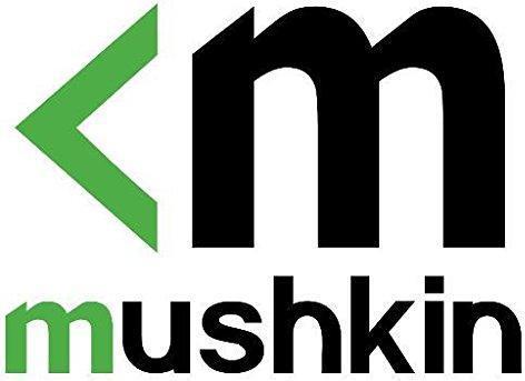 Produktbild Mushkin DDR4 SO-DIMM 16 GB 2400-CL17 - Dual-Kit - Essential (2 x 8GB, 2400 MHz, DDR4-RAM, SO-DIMM)