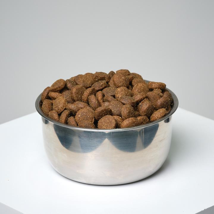 Image du produit Solognac 345815 (Adulte, 1 pcs, 12000 g)